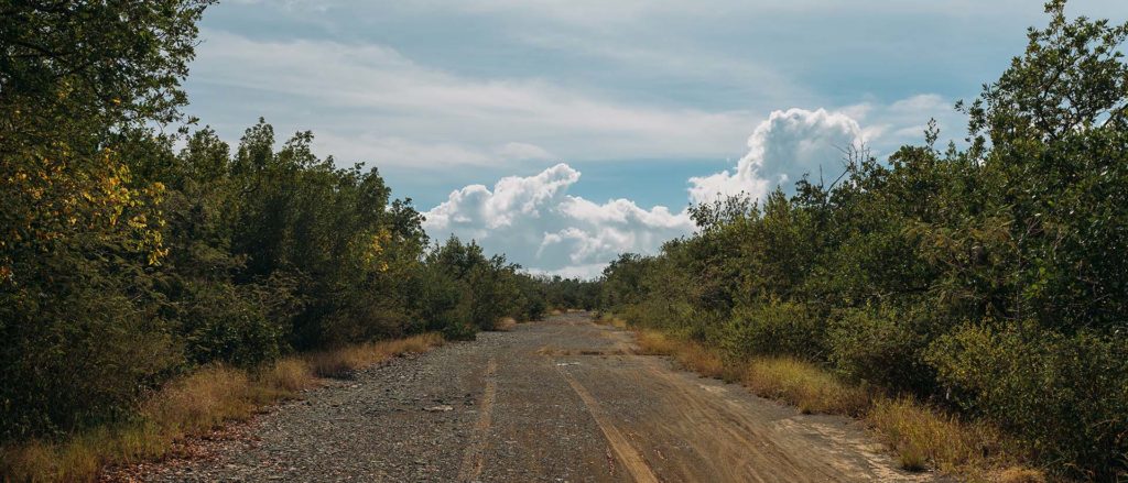 04 Humedal Los Machos