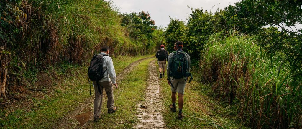 04 Sune Veredas Trail Puerto Rico
