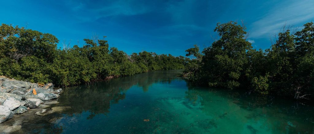 05 Humedal Los Machos