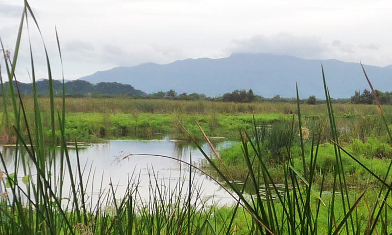 Hacienda La Esperanza Puerto Rico