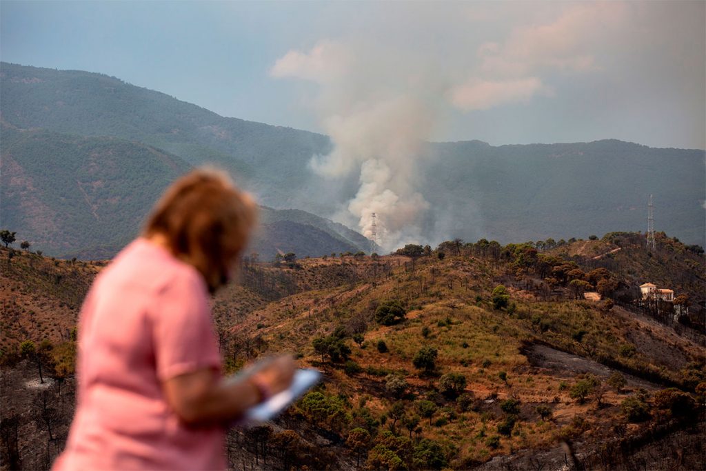 Los incendios forestales dejaron 1.760 megatoneladas de carbono globales en 2021