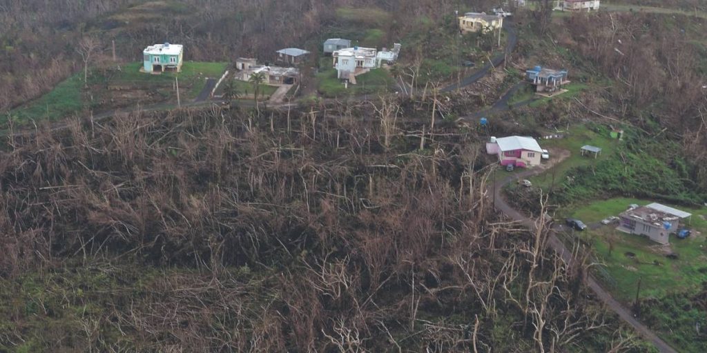 Proyecto agrícola de la UPR brindaría energía a lugares remotos