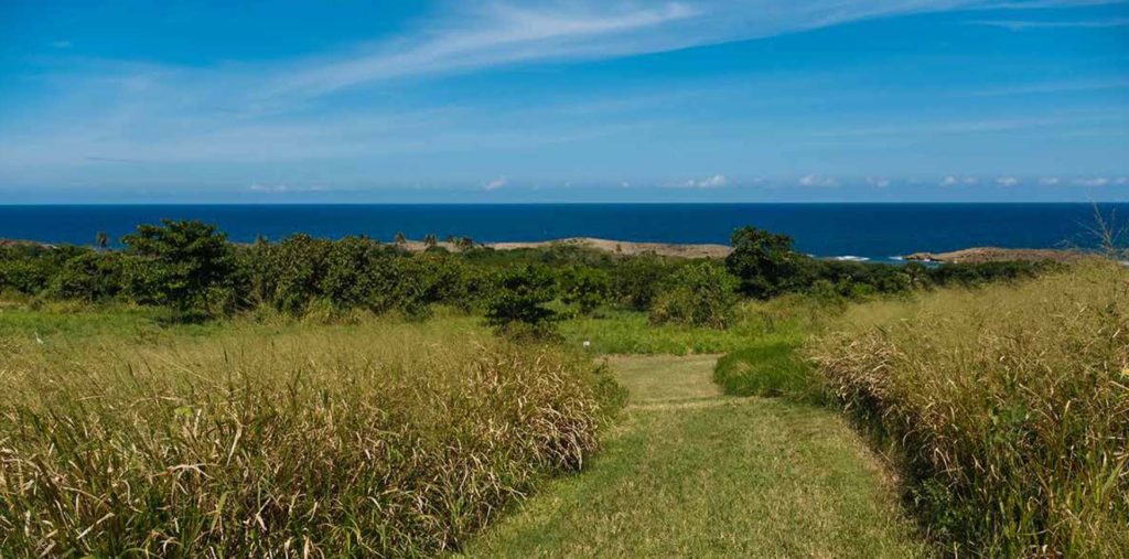 01 Hle Veredas Trails Manati Puerto Rico