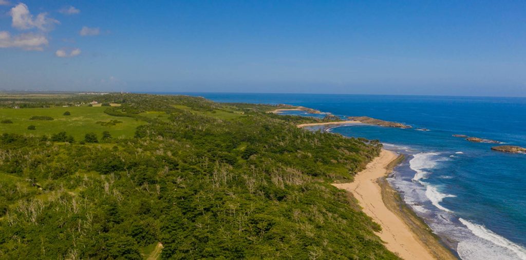 04 Hle Veredas Trails Manati Puerto Rico