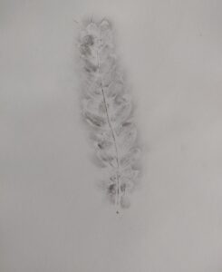 IMG_20220907_094120