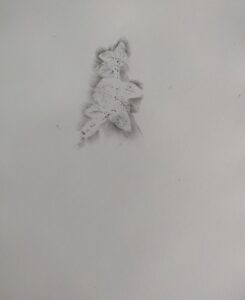 IMG_20220907_094132