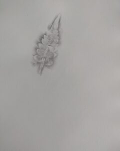 IMG_20220907_094140